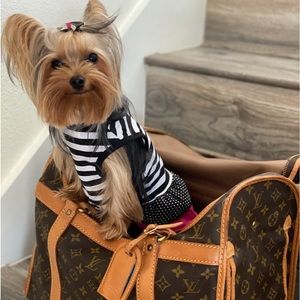 Louis Vuitton Condition is like new with No Odors minimal scratches from Dog